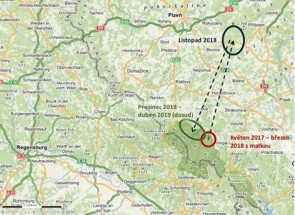 Co mladý rys Fabián zatím ušel Co mladý rys Fabián zatím ušel